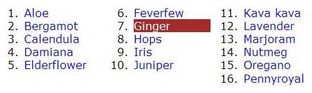 Method 6: Wrapping a single list using normal flow